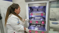 Hospital Roberto Santos está com estoque de sangue em nível crítico; saiba como doar