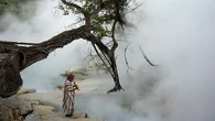 Com água borbulhante e 90°C, rio na Amazônia intriga cientistas ao matar animais: 'Morreram cozidos'