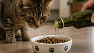 Azeite na ração do gato ajuda intestino: como usar truque na alimentação que ainda deixa pelos do seu pet mais bonito
