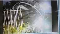 Novas imagens mostram três pessoas perto de local onde mulheres foram mortas em Ilhéus
