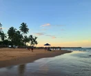 Loteamento clandestino: construções em praia badalada são demolidas após decisão judicial