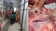 Cem quilos de carnes infectadas são apreendidos em cidade baiana