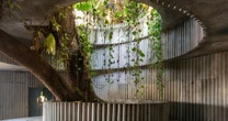 Casa Coaty será revitalizada por arquitetos ligados a Lina Bo Bardi e Lelé