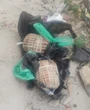Esquadrão Antibombas remove duas granadas improvisadas em bairro de Salvador