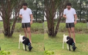 Nattan mostra caos em casa com bode que ganhou em show na Bahia