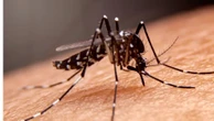 Governo regulamenta indenização e pensão a vítimas do vírus Zika