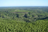 Empresas conciliam desenvolvimento econômico, ambiental e social em Camaçari