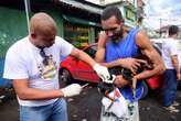 Ministério da Saúde emite alerta nacional após caso de raiva humana