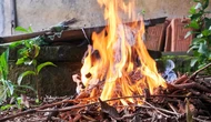 Posso queimar folhas e galhos no quintal ou vou ser preso por isso?