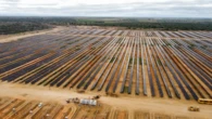 Acelen reafirma compromisso com a transição energética e a preservação ambiental