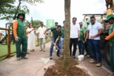 Prefeitura de Salvador lança programa Corredores Verdes, que prevê a arborização de avenidas da capital