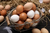 5 benefícios do ovo para a saúde e como consumi-lo