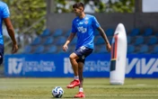 Bahia recebe o Botafogo para engatar o 5° triunfo seguido na temporada