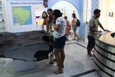 Asteroid Day: Salvador recebe encontro internacional sobre meteoritos