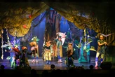 Musical junta crianças e seres mitológicos para salvar as matas
