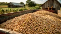 Espanha supera EUA e se torna segundo destino do agro baiano em meio ao tarifaço