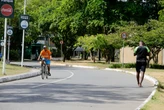 Parque em Salvador recebe feira gratuita com oficinas e adoção de animais neste sábado (30)