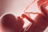 Xixi e longas horas de sono, você nem imagina tudo o que um bebê faz na barriga da mãe