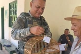 50 aves silvestres são resgatadas durante campanha em Salvador