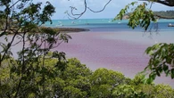 Mar de sangue? Descubra o que é o fenômeno de potencial tóxico que assusta moradores e turistas no litoral