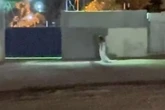 VÍDEO: Mulher vestida de noiva caminha em frente à cemitério e desperta curiosidade