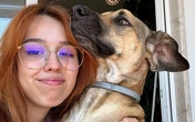 Grávida faz ultrassom e fica chocada ao ver cachorro 'aparecer' na imagem; VEJA