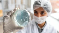 Fungos resistentes a remédios preocupam cientistas e podem entrar na mira da OMS