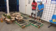 Quem é Paulista, preso na Bahia e apontado como o maior traficante de aves do Brasil