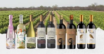 10 vinhos do Vale do São Francisco para degustar na ProWine São Paulo