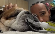 Lewis Hamilton pede orações para seu cachorro, Roscoe, após parada cardíaca: 'Não sabemos se vai acordar'