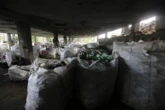 Brasil melhora na reciclagem, mas ainda deixa muito plástico para trás