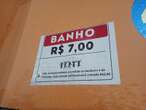 Foliões gastam até R$ 12 para ir a banheiros na Barra