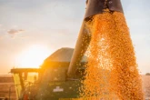 Saiba quanto a economia baiana vai crescer nos próximos anos