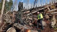 Waldbrand im Harz Feuerwehr vermutet Brandstiftung auf Brocken