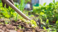 Gartenzeit Garten-Angebote am Dienstag: Express Unkrautvernichter fast 40 % günstiger