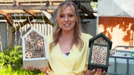 Reporterin macht den Test: Wie Sie mit Insektenhotels Bienen vor dem Aussterben retten können