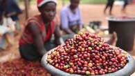 Globalisierung: WTO: Welthandel allein hilft nicht gegen Armut