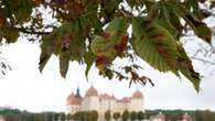 Wetter: Ruhiges Herbstwochenende steht bevor