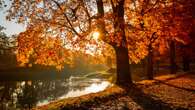 Vorhersage Höchsttemperaturen zwischen 13 und 20 Grad – so wird das Wetter am Samstag