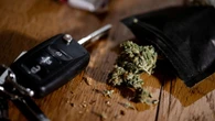 Cannabis-Legalisierung Joints am Steuer? Was Sie jetzt über die Regeln für den Straßenverkehr wissen müssen