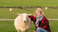 Tierischer Helfer Wie ausgerechnet ein Lamm das Leben von Anne Hansen gerettet hat