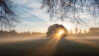 Vorhersage Der goldene Oktober hält Einzug – so wird das Wetter am Mittwoch