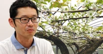 「咲かない花」を咲かせたい——。気候変動で“眠るナシ”起こす、静大発・科学の“目覚まし”「物質X」