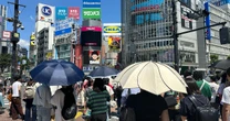 6月中旬の暑さ「温暖化なければ発生確率0％」専門家らが分析