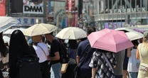 気温40度級の猛暑で「熱中症保険」が急成長。気候変動は保険業界の「チャンス」か「リスク」か