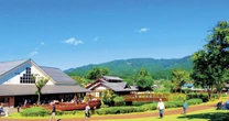 【2025年版】最高の「道の駅」が決定。1位は関東でブルーベリー摘み・陶芸体験もできる