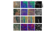 Novo modelo de IA do Google para mapas funciona como um satélite virtual