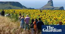Nature’s ghosts: how reviving medieval farming offers wildlife an unexpected haven