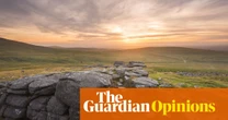 Sheep are destroying precious British habitats – and we taxpayers are footing the bill | Chris Packham