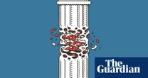 ‘An autoimmune disorder’: how Trump is turning American democracy against itself